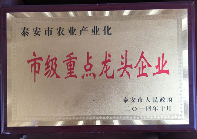 市级重点龙头企业