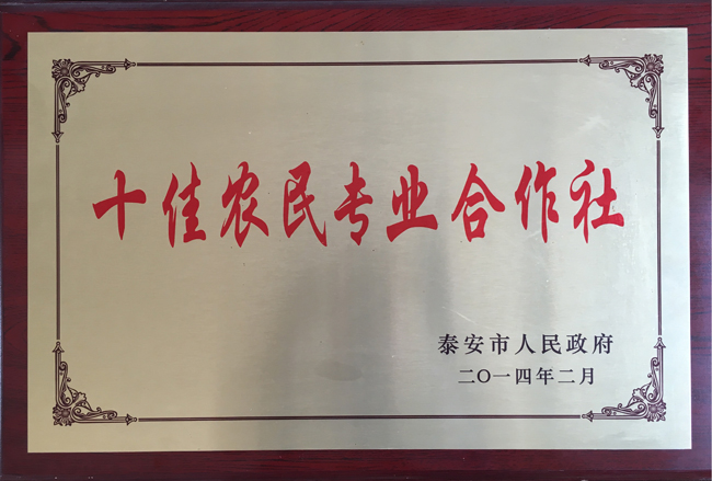 十佳农民专业合作社